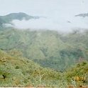 P`S`View1